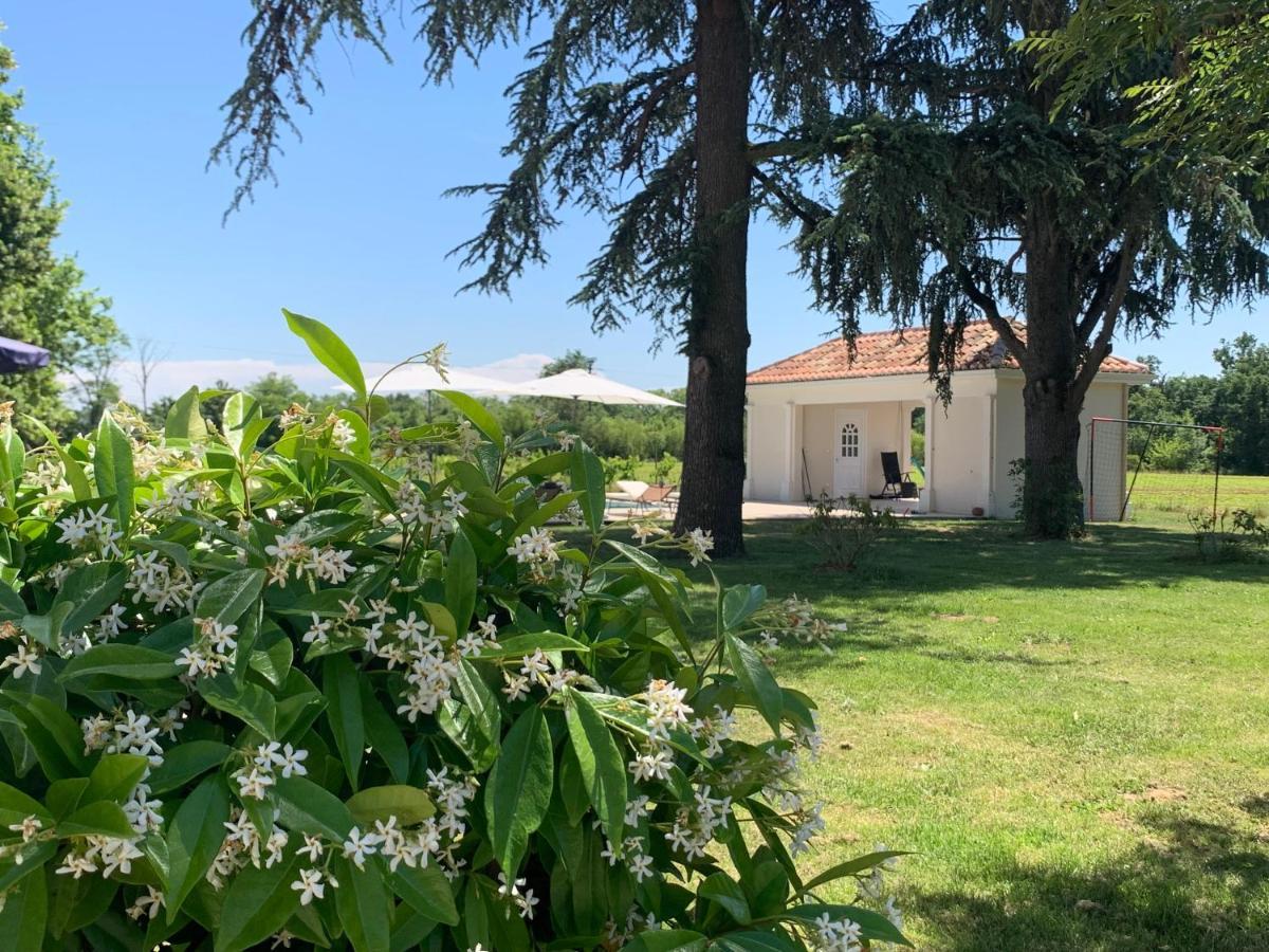 Chambre D'Hotes Et Table D'Hotes Domaine De La Terrasse Sas Et Gite Anda Montauban Lacourt-Saint-Pierre Екстер'єр фото